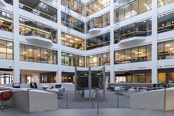 Northern Star Oral and Maxillofacial Surgery LLC