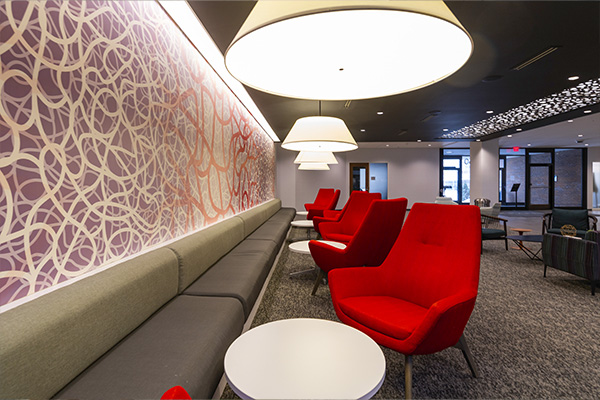 Northern Star Oral and Maxillofacial Surgery LLC